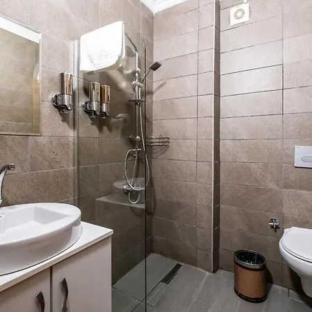 Platanus * Altınoluk